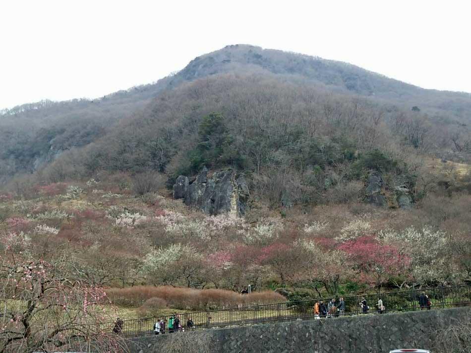 Yugawara Onsen Ryokan Uohan Zimmer foto